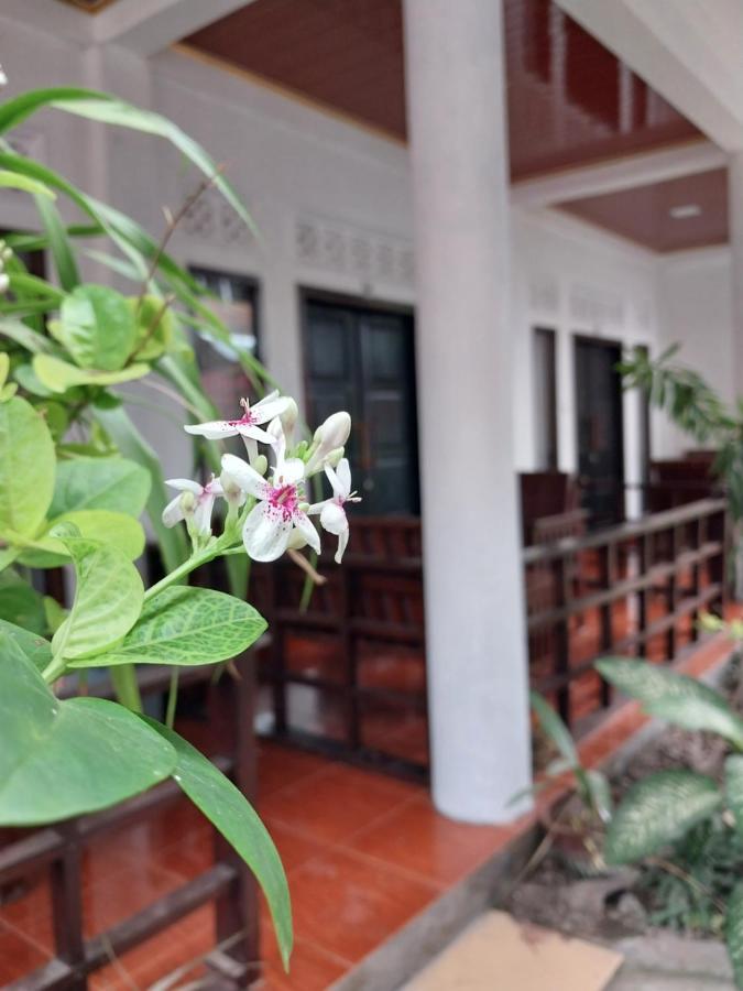 香蕉叶简易别墅旅馆 吉利特拉旺安 外观 照片